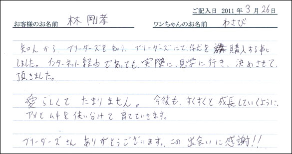 コッカーお客様の声