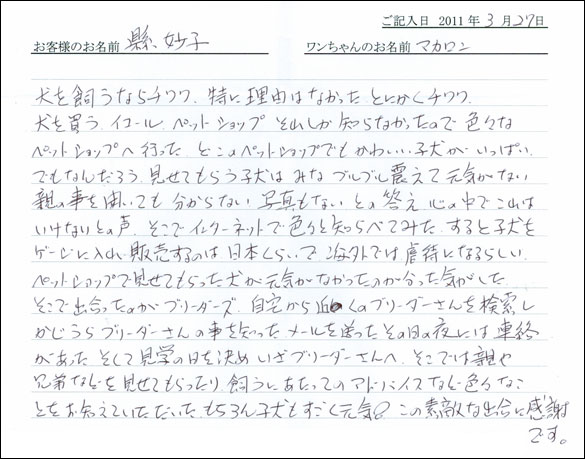 コッカーお客様の声