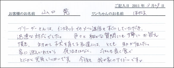 コッカーお客様の声