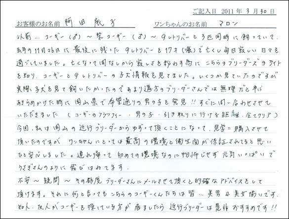 コッカーお客様の声