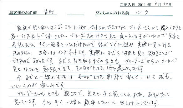 コッカーお客様の声