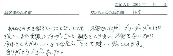 コッカーお客様の声