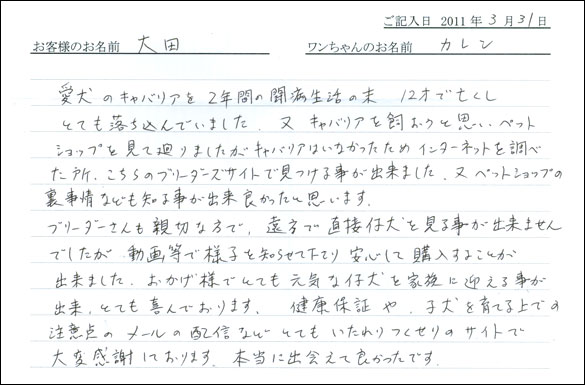 コッカーお客様の声