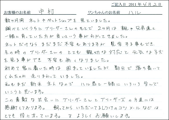 コッカーお客様の声
