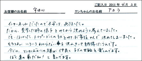 コッカーお客様の声