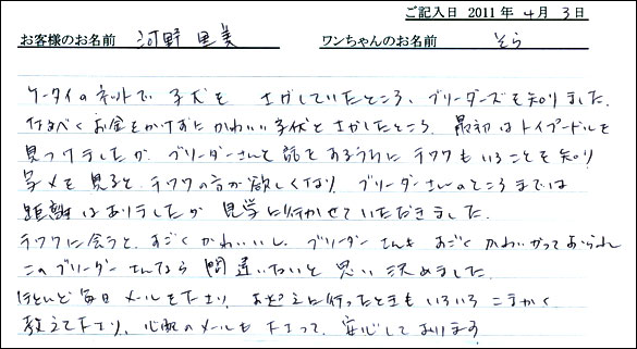 コッカーお客様の声