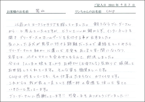 コッカーお客様の声