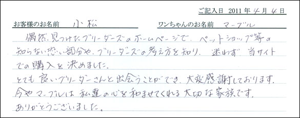 コッカーお客様の声