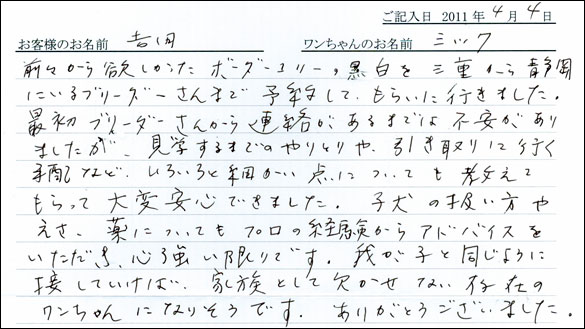 コッカーお客様の声