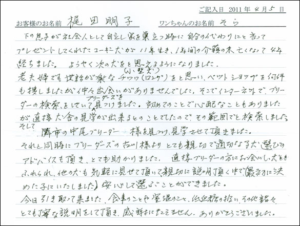 コッカーお客様の声