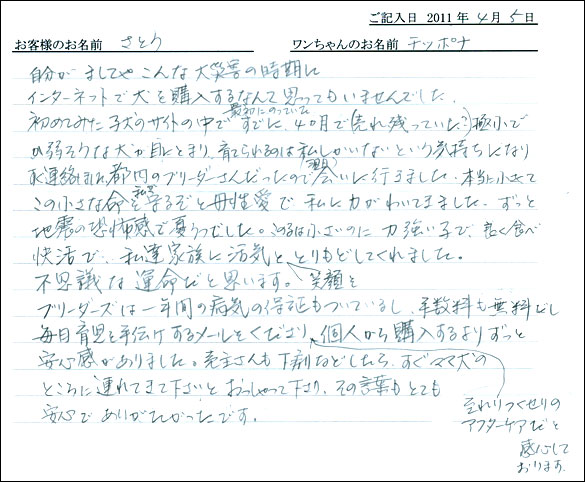 コッカーお客様の声