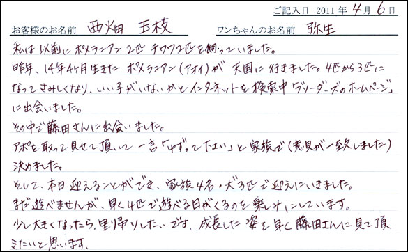コッカーお客様の声
