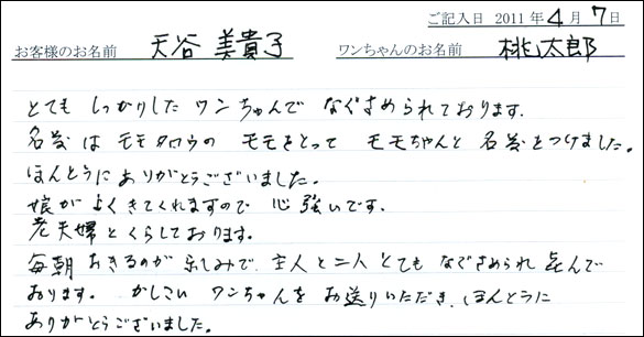 コッカーお客様の声