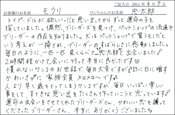 コッカーお客様の声