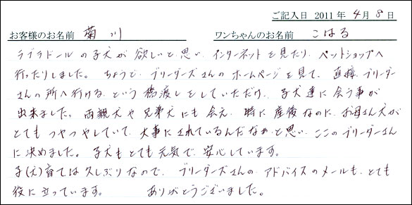 コッカーお客様の声