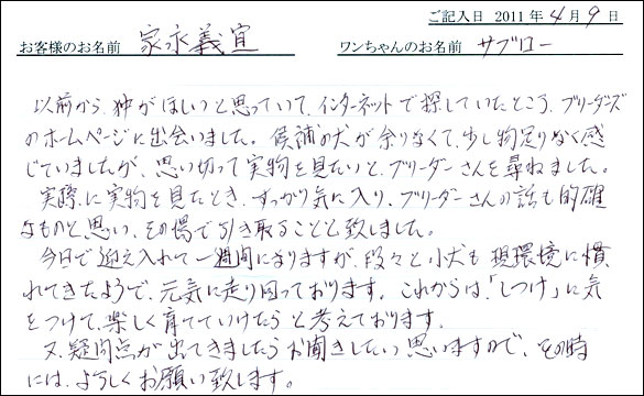 コッカーお客様の声