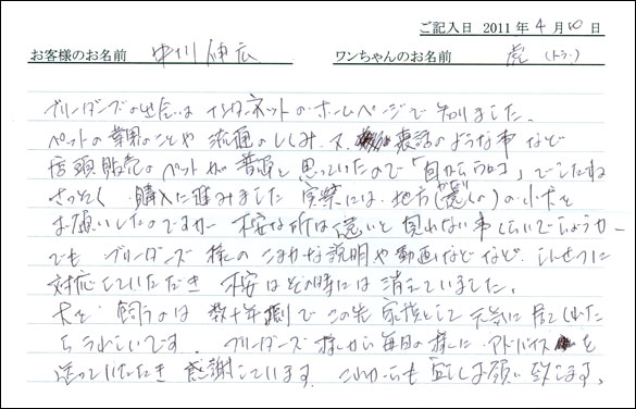 コッカーお客様の声