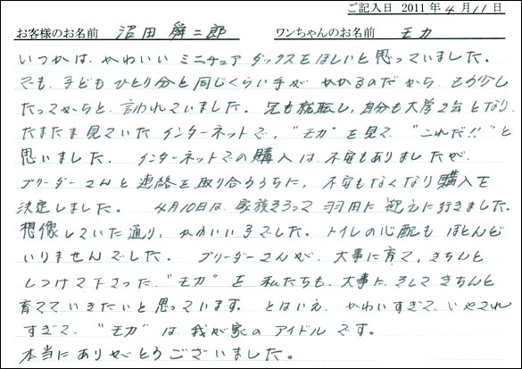 コッカーお客様の声