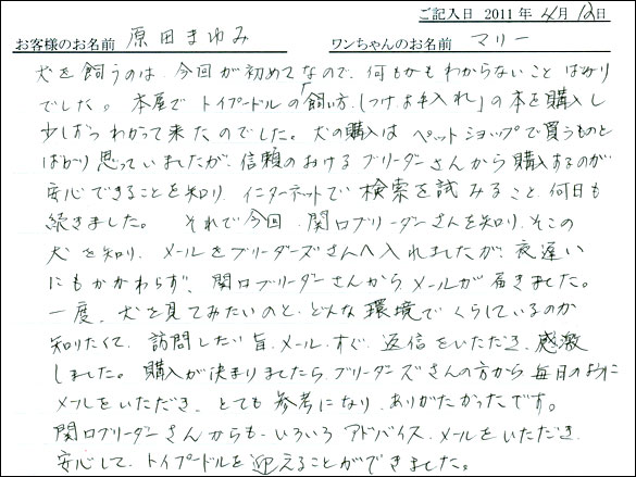 コッカーお客様の声