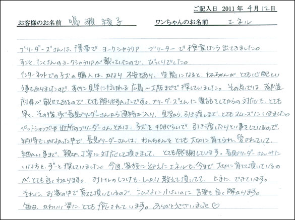 コッカーお客様の声