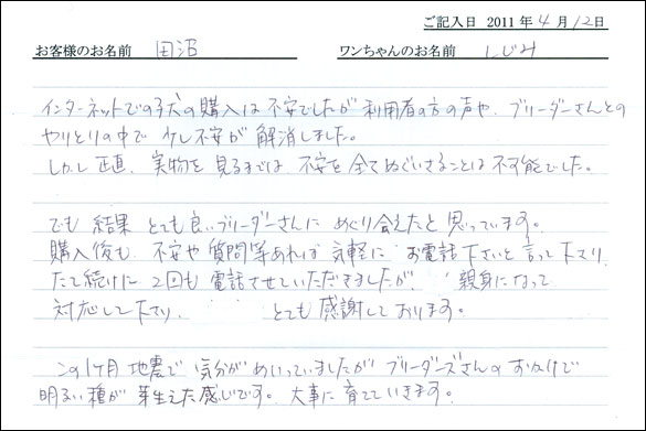 コッカーお客様の声