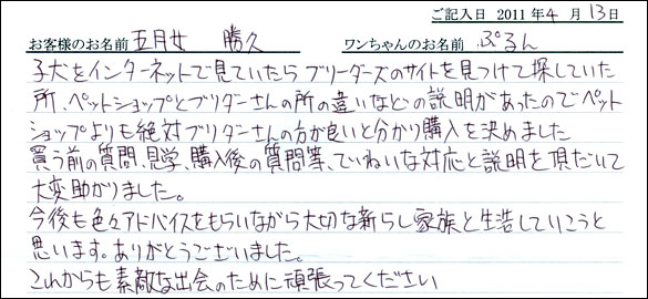 コッカーお客様の声