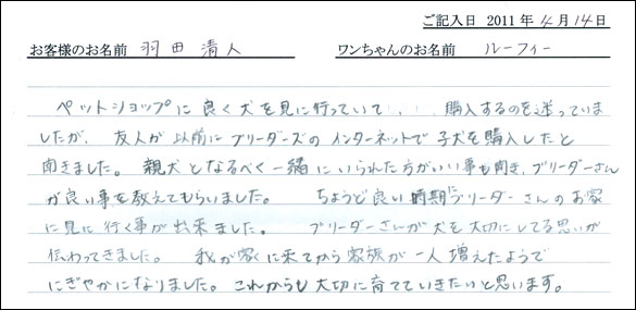 コッカーお客様の声