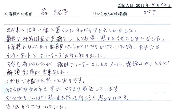 コッカーお客様の声