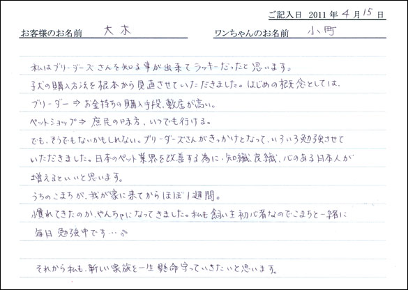 コッカーお客様の声