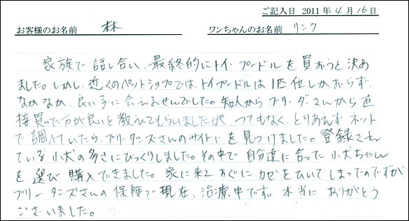 コッカーお客様の声