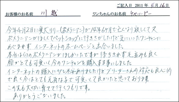 コッカーお客様の声