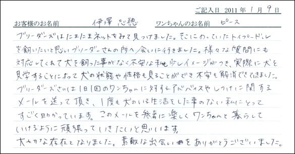 シェットランドシープドッグお客様の声