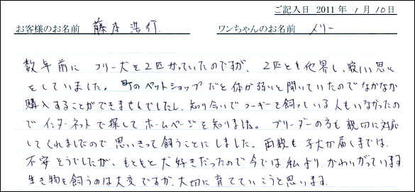 シェットランドシープドッグお客様の声