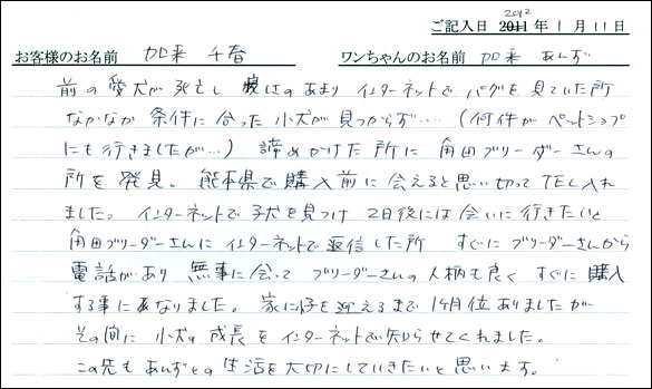 シェットランドシープドッグお客様の声