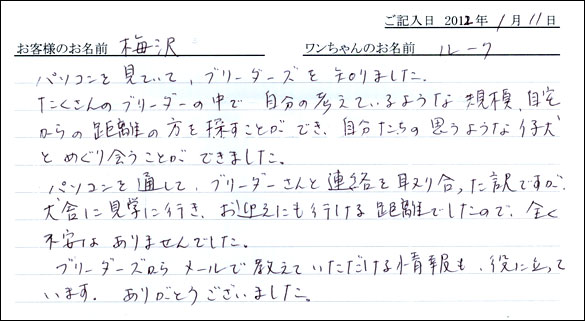 シェットランドシープドッグお客様の声