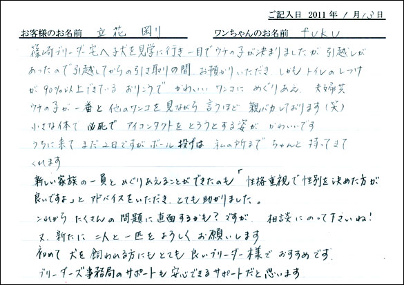 シェットランドシープドッグお客様の声