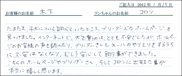 シェットランドシープドッグお客様の声