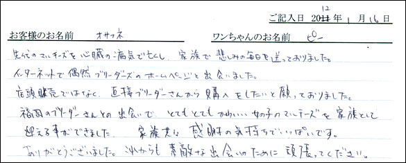 シェットランドシープドッグお客様の声