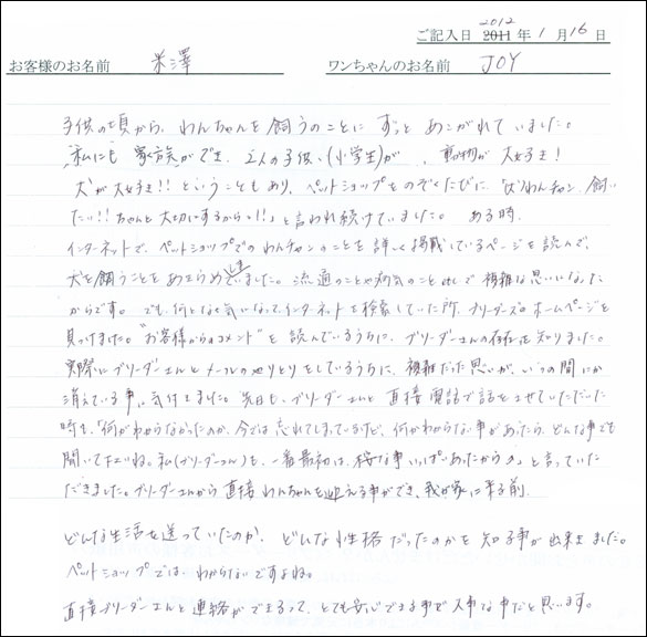 シェットランドシープドッグお客様の声