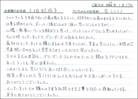シェットランドシープドッグお客様の声