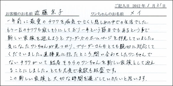 シェットランドシープドッグお客様の声