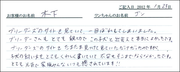 シェットランドシープドッグお客様の声