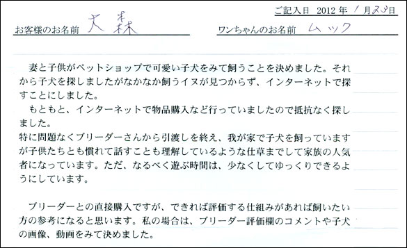 シェットランドシープドッグお客様の声