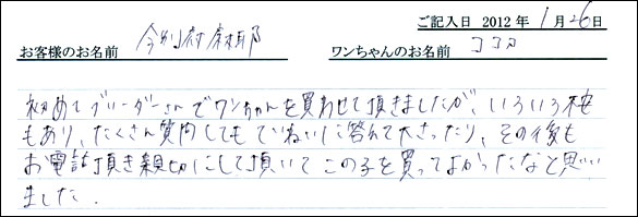 シェットランドシープドッグお客様の声
