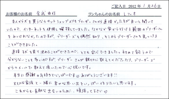 シェットランドシープドッグお客様の声