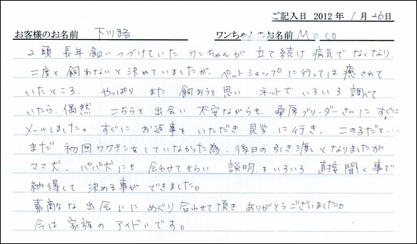 シェットランドシープドッグお客様の声