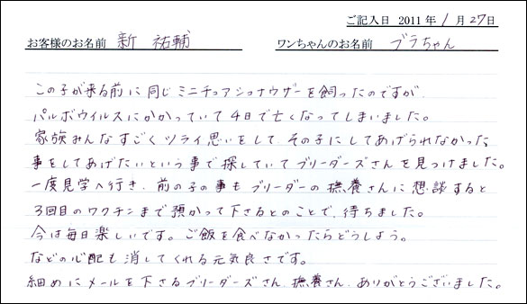 シェットランドシープドッグお客様の声