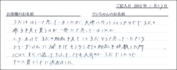 シェットランドシープドッグお客様の声