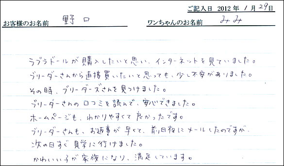 シェットランドシープドッグお客様の声