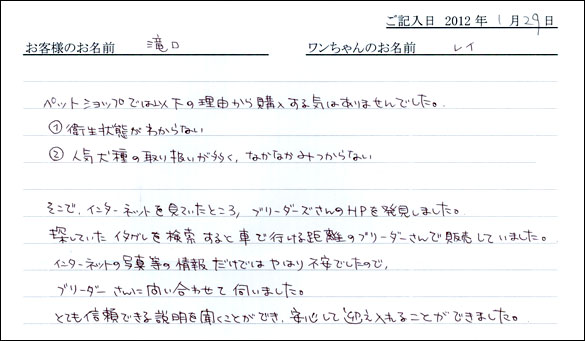 シェットランドシープドッグお客様の声